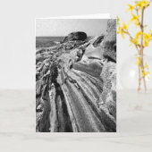 Pemaquidの石 カード (黄色い花)