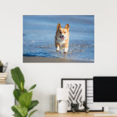 Pembroke Welsh Corgi Dog Running On The Beach ポスター (ホームオフィス)