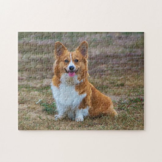 Pembroke Welsh Corgi Puppy Dog jigsaw puzzle ジグソーパズル (横)