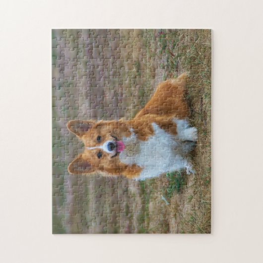 Pembroke Welsh Corgi Puppy Dog jigsaw puzzle ジグソーパズル (縦)