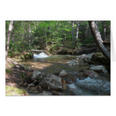 Pemigewasset River Iの滝 (正面横)