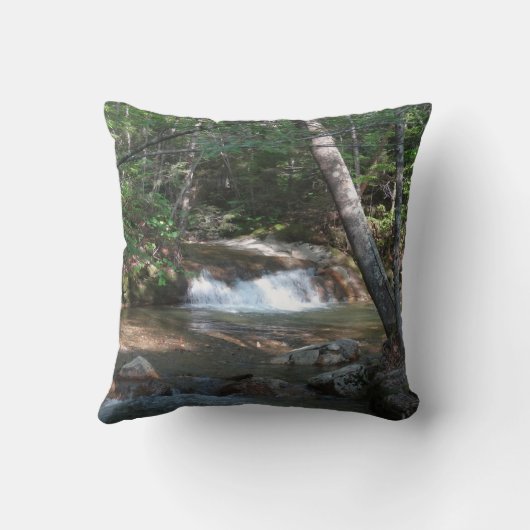Pemigewasset River IIの滝 クッション (裏面)