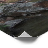 Pemigewasset River IIの滝 ポスター (角)