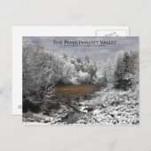 Pemigewasset Valleyはがき： Moose on Snowy Oxbow ポストカード (正面/裏面)