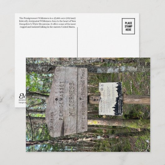 Pemigewasset Wilderness Postcard ポストカード (正面/裏面)