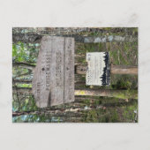 Pemigewasset Wilderness Postcard ポストカード (正面)