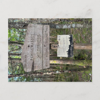 Pemigewasset Wilderness Postcard ポストカード