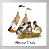 Penciled Runner Duck Family ポスター (正面)