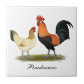 Penedesencaの鶏 タイル (正面)