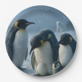 Penguin 22.9 cm round paper plate ペーパープレート (正面)