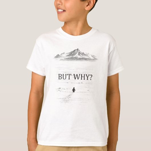 Penguin But Why Mountains Tシャツ (正面)