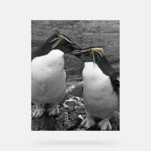 Penguin Colour Splash アクリルサイン (正面)