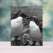 Penguin Colour Splash アクリルサイン (ニュートラル)