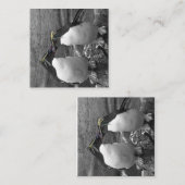 Penguin Colour Splash エンクロージャーカード (正面/裏面)