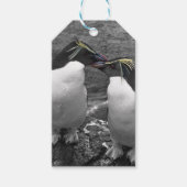 Penguin Colour Splash ギフトタグ (正面)