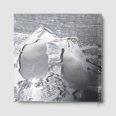 Penguin Colour Splash ゲストブック (裏面)