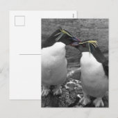 Penguin Colour Splash シーズンポストカード (正面/裏面)