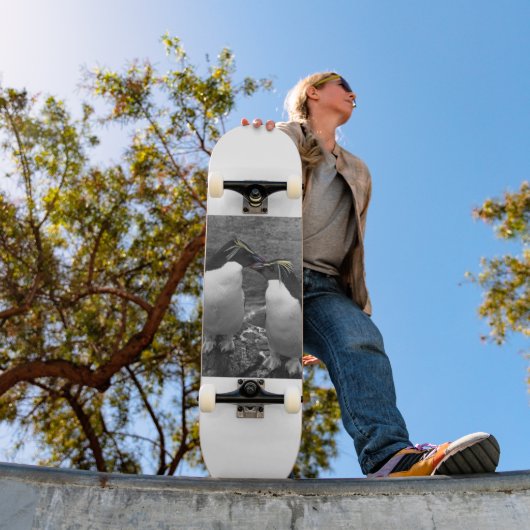 Penguin Colour Splash スケートボード (室外1)