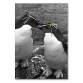 Penguin Colour Splash テーブルナンバー (裏面)