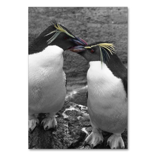 Penguin Colour Splash テーブルナンバー (正面)