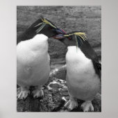 Penguin Colour Splash ポスター (正面)