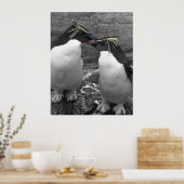 Penguin Colour Splash ポスター (キッチン)