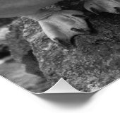 Penguin Colour Splash ポスター (コーナー)