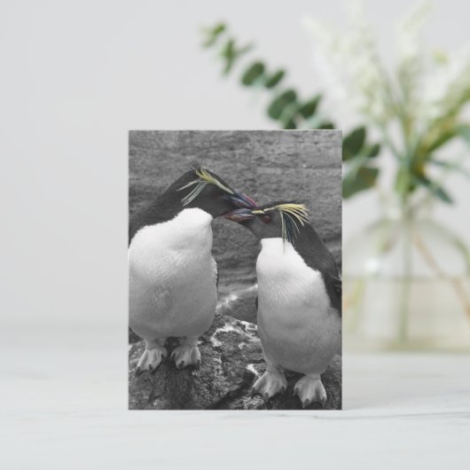 Penguin Colour Splash ポストカード (スタンド正面)