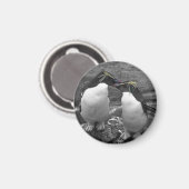 Penguin Colour Splash マグネット (正面/裏面)