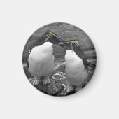 Penguin Colour Splash マグネット (正面)