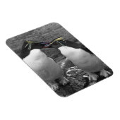 Penguin Colour Splash マグネット (右側)