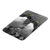 Penguin Colour Splash マグネット (左側)