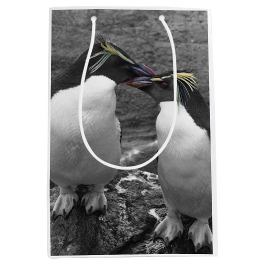 Penguin Colour Splash ミディアムペーパーバッグ (正面)