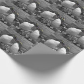 Penguin Colour Splash ラッピングペーパー (角)