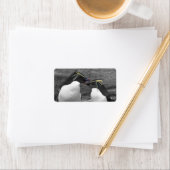 Penguin Colour Splash ラベル (インサイチュ)