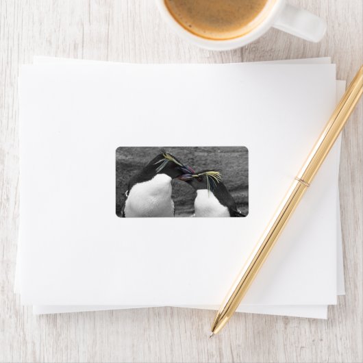 Penguin Colour Splash ラベル (インサイチュ)