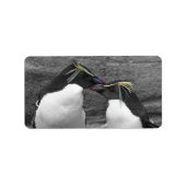 Penguin Colour Splash ラベル (正面)