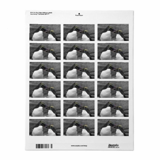 Penguin Colour Splash ラベル (フルシート)