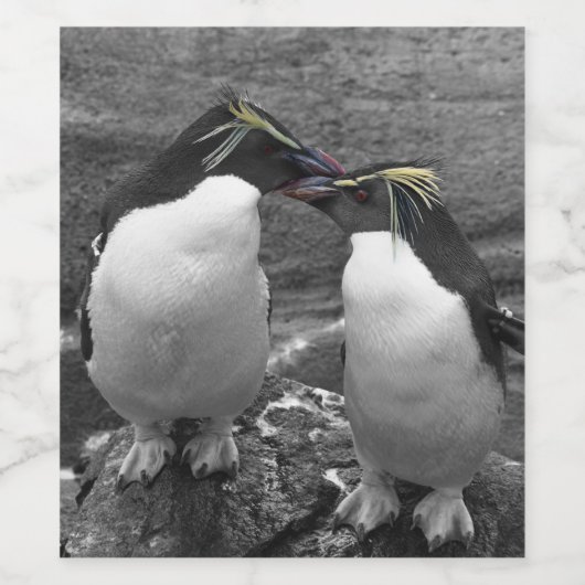 Penguin Colour Splash ワインラベル (シングルラベル)