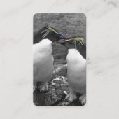 Penguin Colour Splash 名刺 (正面)