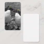 Penguin Colour Splash 名刺 (正面/裏面)