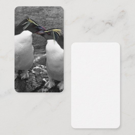 Penguin Colour Splash 名刺 (正面/裏面)