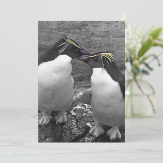 Penguin Colour Splash 招待状 (スタンド正面)