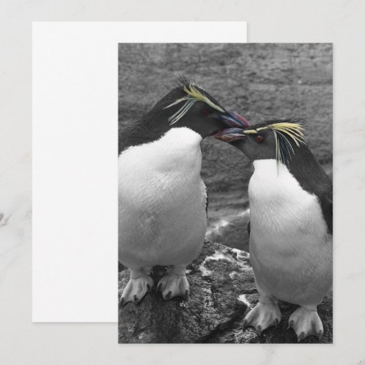 Penguin Colour Splash 招待状 (正面/裏面)