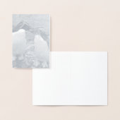 Penguin Colour Splash 箔カード (ディスプレー)