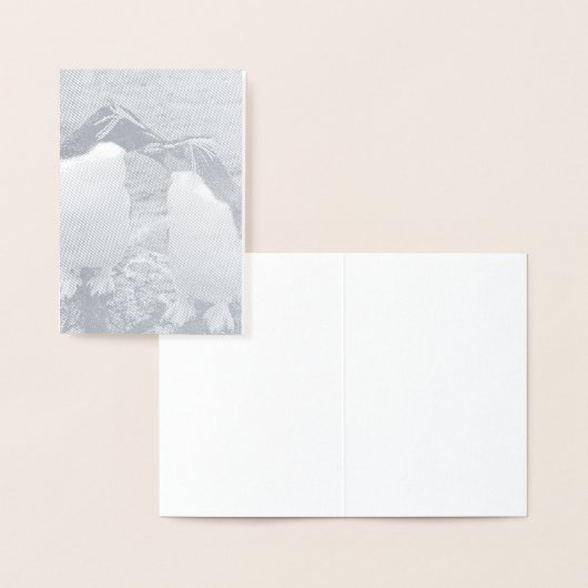 Penguin Colour Splash 箔カード (ディスプレー)