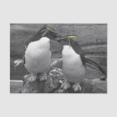 Penguin Colour Splash 薄葉紙 (正面)