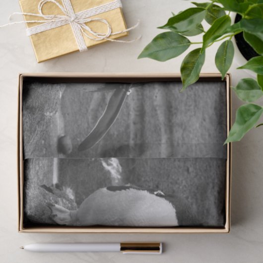 Penguin Colour Splash 薄葉紙 (ギフト)