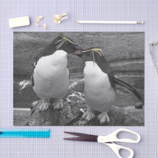 Penguin Colour Splash 薄葉紙 (クラフト)