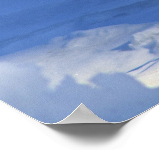 Penguin Show Off ポスター (角)